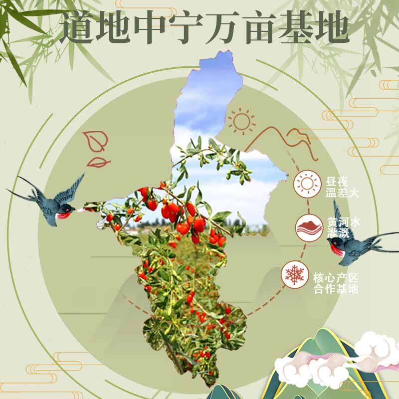  玺中悦枸杞