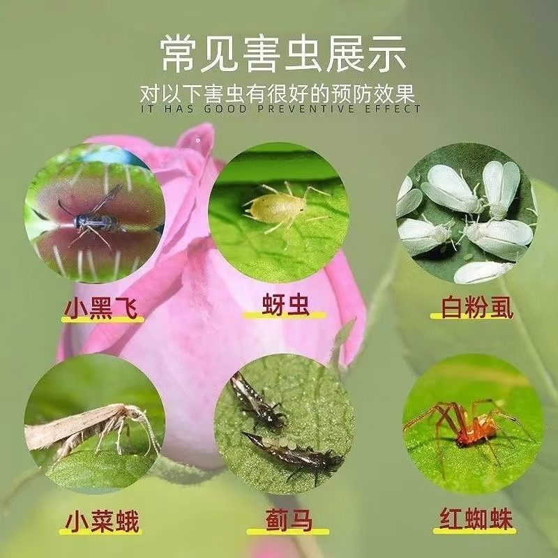 菜地植物杀虫家庭园艺防虫片蔬菜菜地除虫花盆花草盆栽花卉除虫 - 图2