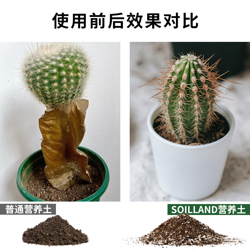 SOILLAND大柿园艺仙人掌类植物仙人球营养土盆栽专业颗粒土配方土 - 图1