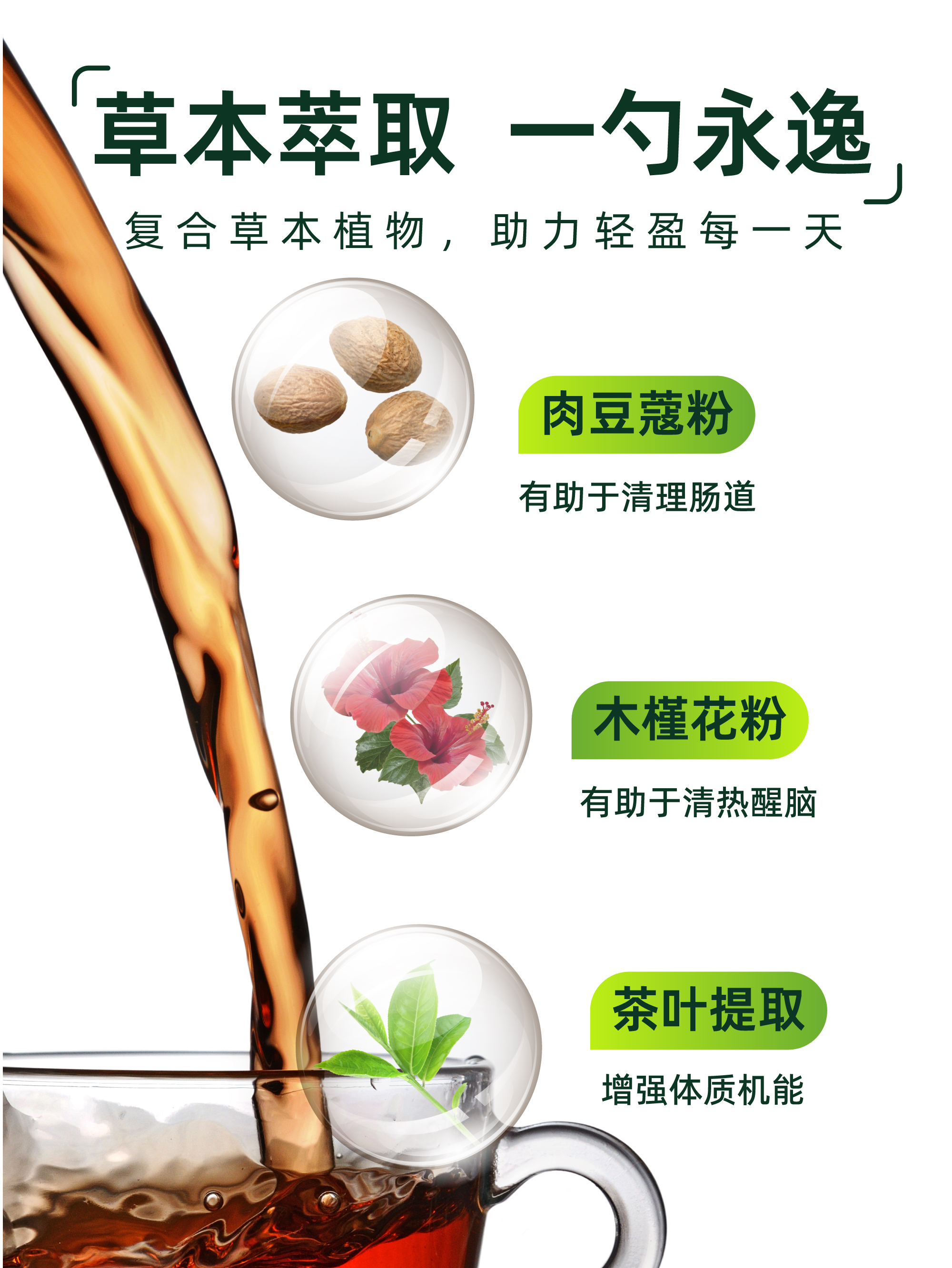 美国康宝莱herbalife草本浓缩速溶茶饮懒人茶运动茶膳食纤维正品 - 图2