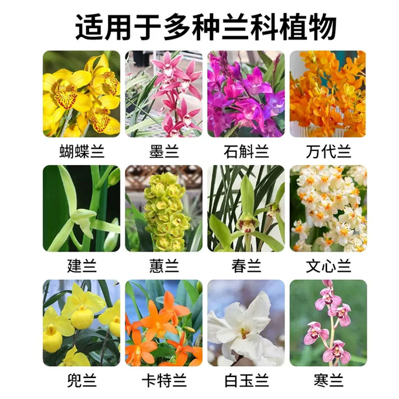 兰花专用药杀菌剂黑斑病叶斑病兰陵王根腐炭疽病杀菌药微生物 - 图2