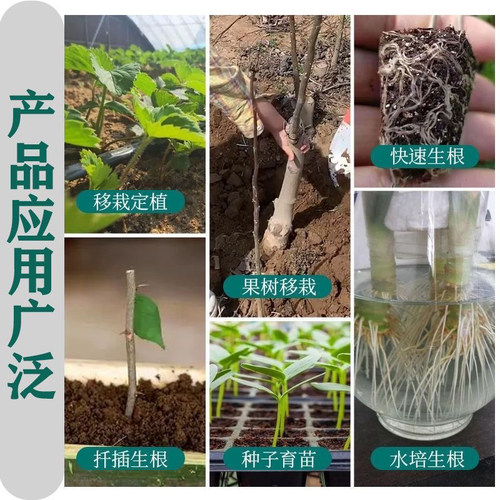 生根粉植物生根壮苗剂扦插用发根营养生根剂树木果树移栽发根 - 图1