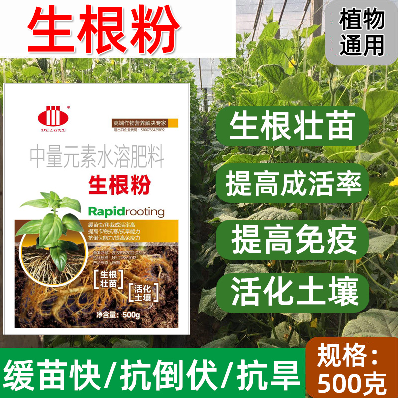 生根粉植物通用生根壮苗剂扦插用发根营养生根剂树木果树移栽发根 - 图1