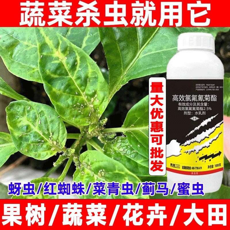介壳虫杀虫剂多肉药花卉植物幸福树家用蚧壳虫杀虫剂蚧壳虫,淘宝优惠券,粉丝福利购,淘宝优惠卷