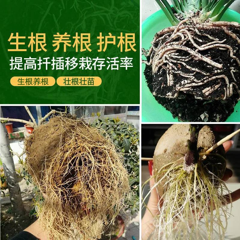 生根粉植物通用生根壮苗剂扦插用发根营养生根剂树木果树移栽发根 - 图2