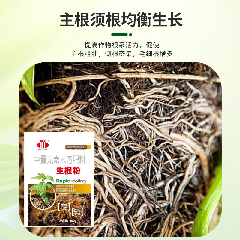 生根粉植物生根壮苗剂扦插用发根营养生根剂树木果树移栽发根,淘宝优惠券,粉丝福利购,淘宝优惠卷