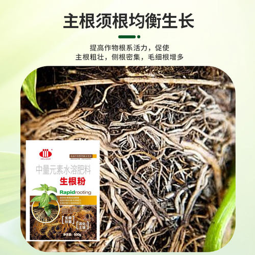 生根粉植物生根壮苗剂扦插用发根营养生根剂树木果树移栽发根 - 图0