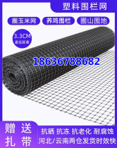 Hangzhou Breeding Chicken Nets Plastic Nets Anti-Guard Rail Breeding Vegetable Garden Circle Corn Mesh Fence Mesh Leaking Manure Footbed Geogrid