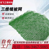 Three-dimensional Vegetation Net Planting Grass Care Slopes Hdpe Manufacturer Side Slope Protection EM3 Plus Gluten Stretch Three-dimensional Geotechnical Mesh Mat