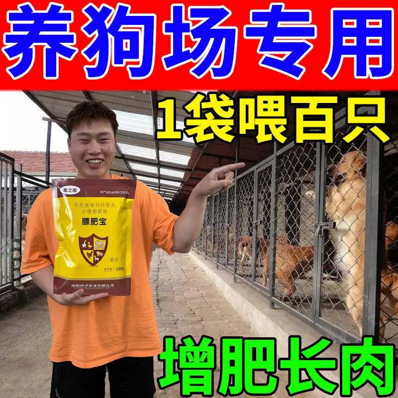膘肥宝狗狗快速增肥催肥增重长肉狗专用开挑食不吃狗粮食欲不振