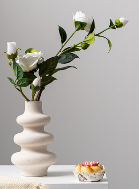 陶瓷花瓶高级感水培插花装饰摆件