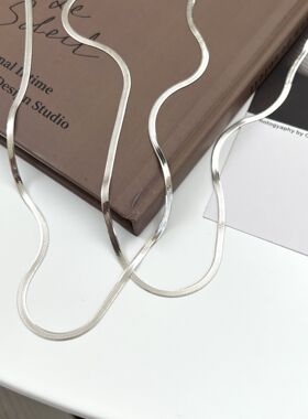 钛钢高级扁蛇骨链不掉色刀片链无吊坠项链女银色小众项链男锁骨链