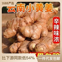 Yunnan small yellow ginger fresh ginger old ginger fresh ginger raw fresh block ginger 1 2 3 5