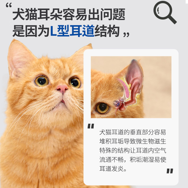 猫咪专用洗耳液耳螨清洗滴耳液消炎杀菌狗狗通用清洁除螨抑菌止痒 - 图1