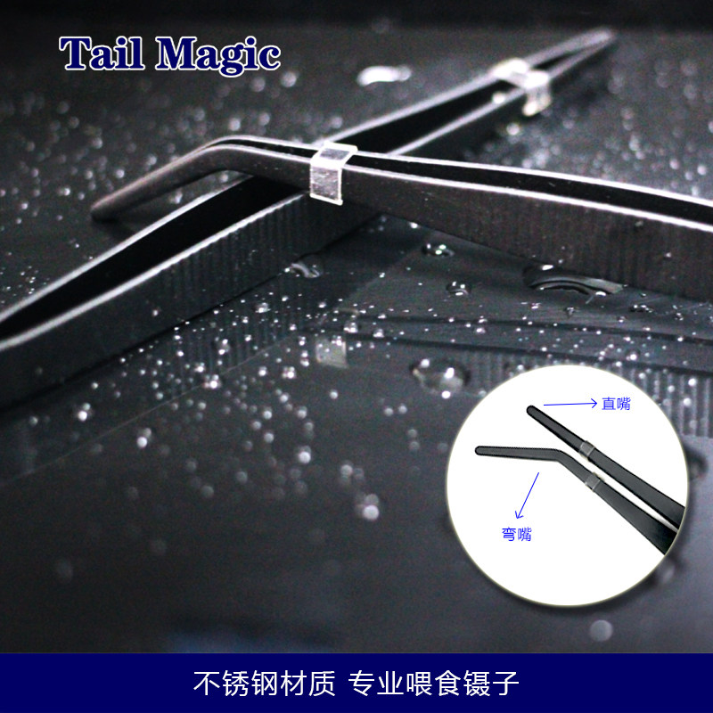 镊子爬宠守宫乌龟蟋蟀蛇仓鼠角蛙鱼喂食弯头直头防伤爬虫清洁夹子,淘宝优惠券,粉丝福利购,淘宝优惠卷