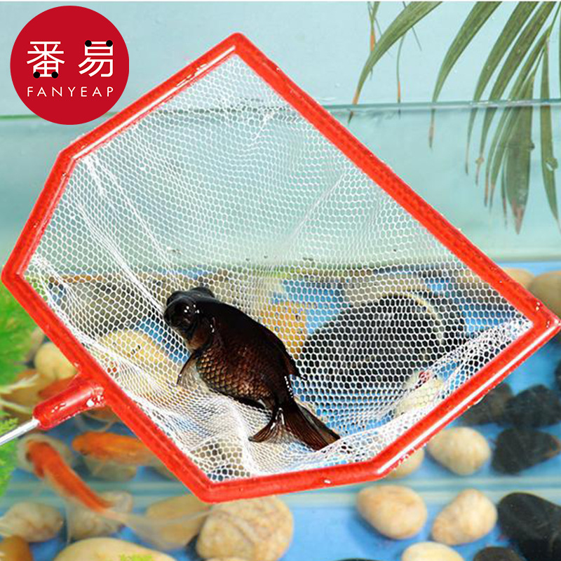 渔捞/小AE1pq801-鱼缸网捞观赏鱼户外便携网兜密捞鱼儿童手抄 - 图1
