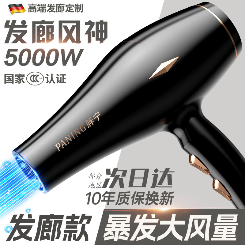 家用大功率吹风机大风力负离子护发速干发廊专用电吹风机理发店用