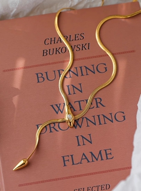 灵蛇锆石项链女小众复古时尚