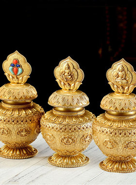 极速纯铜宝瓶装藏k财神宝瓶供奉家用地藏绿度母供奉奉龙王八吉祥