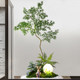 Songyu simulated green plants indoor corner potted plants