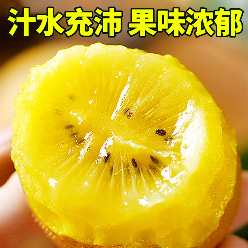  晨福果奇异果/猕猴桃