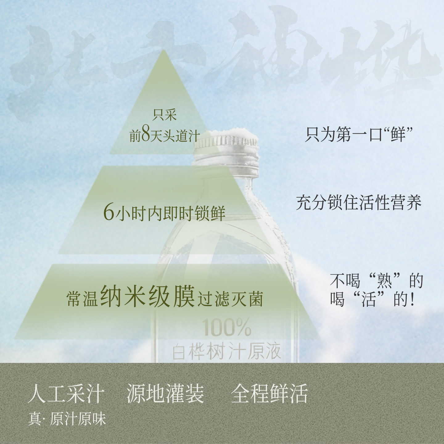 白桦树汁100%原液天然野生无添加桦树汁水原汁325ml*4瓶植物饮料