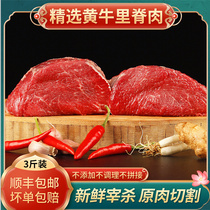 Bull Ridge Now Kills Raw Chopped Beef Cattle Willow Filigree Whole Loose Raised Scallops Fresh Children Coveted Dragon 3 catties