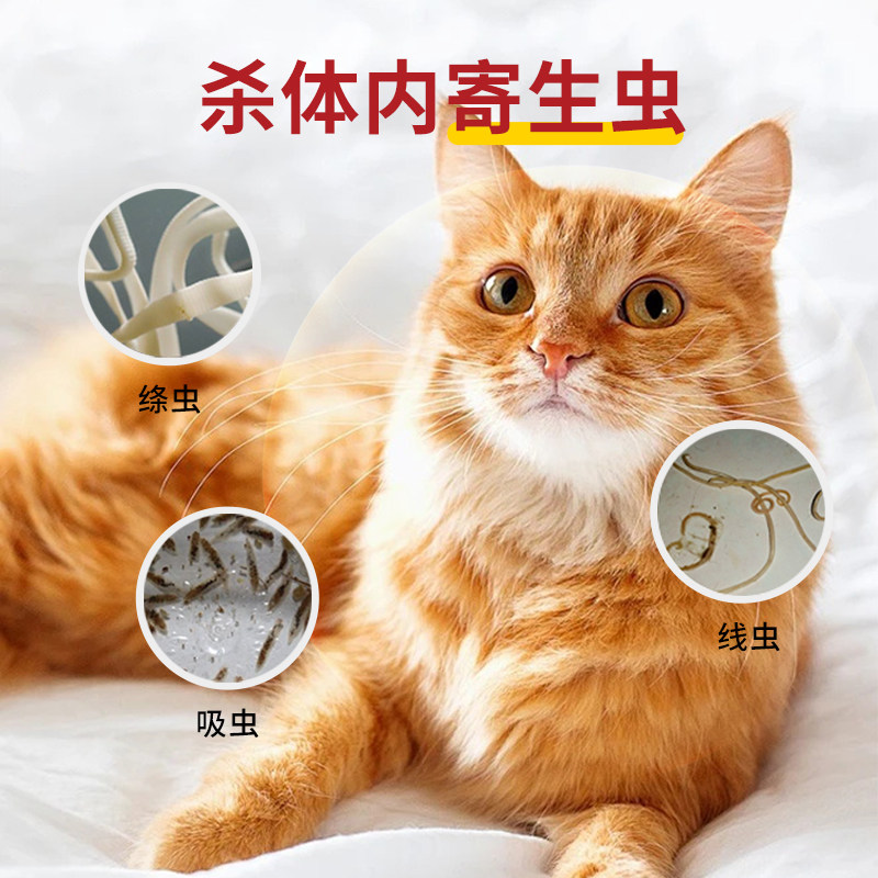 宠佳美狗狗驱虫药猫咪驱虫药宠物驱虫药阿苯达唑片体内体外一体猫,淘宝优惠券,粉丝福利购,淘宝优惠卷