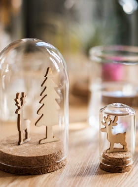 速发木塞玻璃罩本饰摆饰微景观展示盒乾燥花标装玩瓶偶礼物