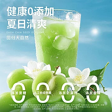 不集茉莉青提果蔬汁170ml*10包[5元优惠券]-寻折猪