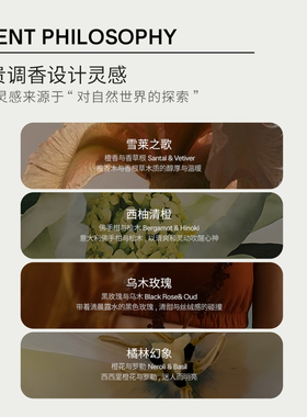 持久留香固体香膏Salt&Stone