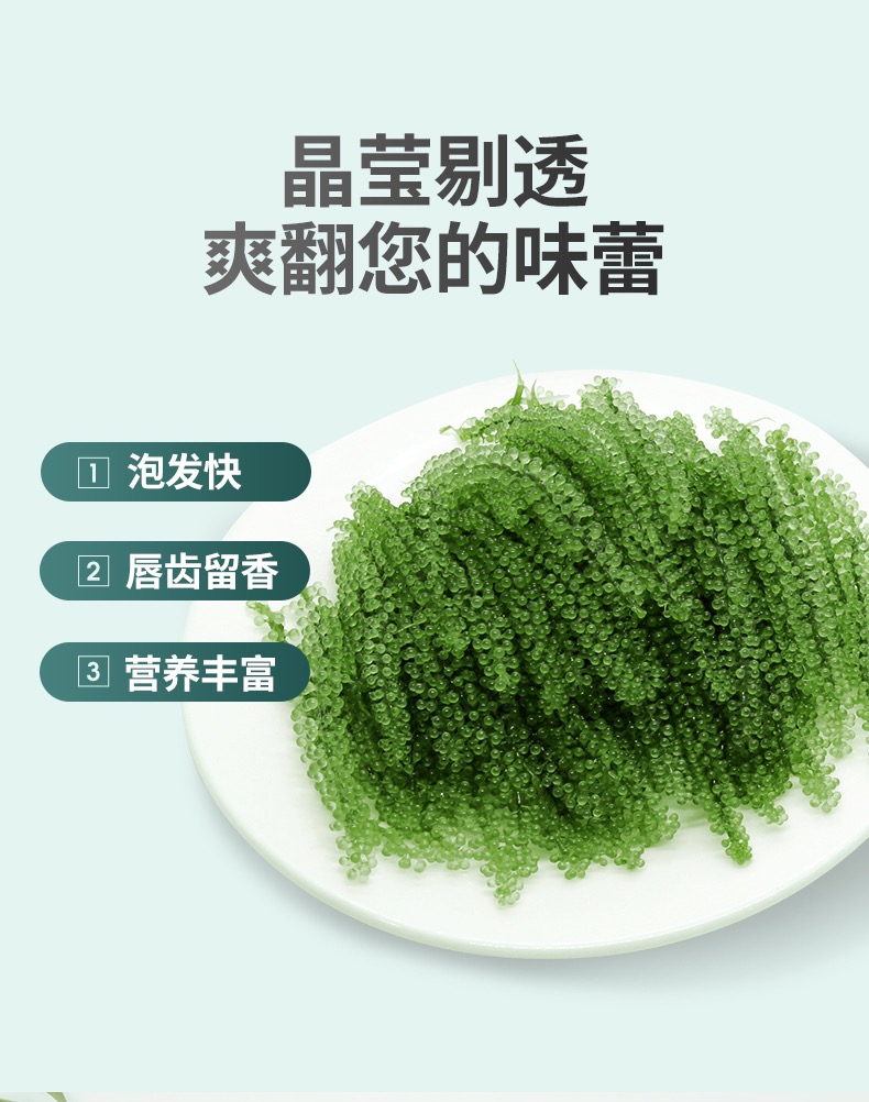 海葡萄新鲜即食盐渍海带新鲜海洋蔬菜绿色鱼子酱海藻菜送专用料汁-图0