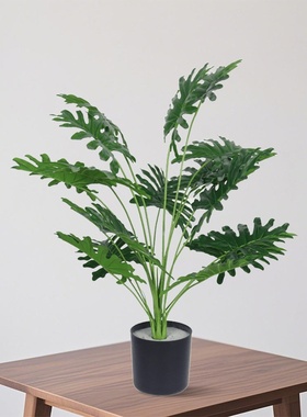 跨境仿真绿植蒲葵散尾葵喜林芋盆栽家居桌面装饰摆件仿生植物造景