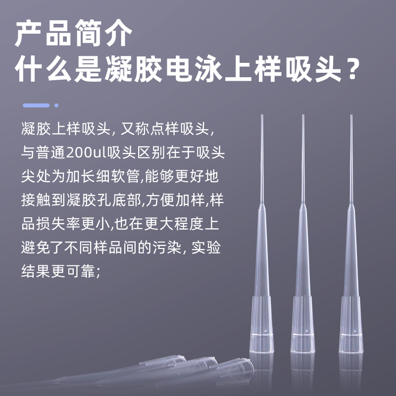 1-200ul电泳上样吸头 吸嘴移液枪枪头 凝胶电泳点样吸头 - 图2