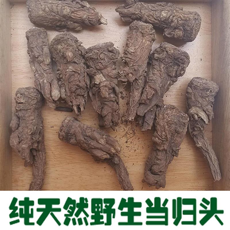 中国当归之乡岷县天然纯野生当归头片500g包邮特级无硫当归身磨粉 - 图2