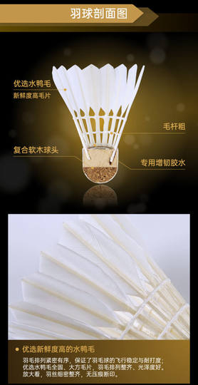 正品威克多VICTOR 胜利羽毛球金黄1号 维克多金黄系列耐打球GD1