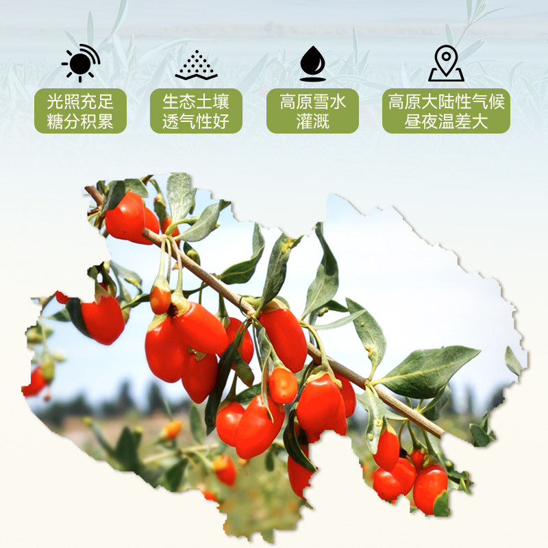 伊禧堂红枸杞干果青海头茬枸杞非宁夏免洗即食枸杞子泡水泡酒260g
