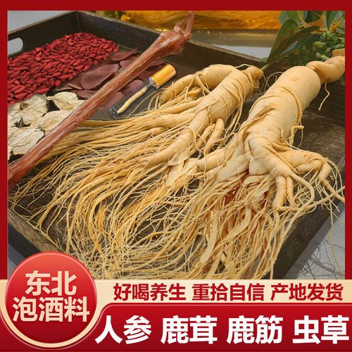 人参鹿茸冬虫夏草养生泡酒料男性专用泡酒药材高端玛卡灵芝枸杞 - 图0