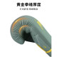 Wulong Sports Boxing Glove Training