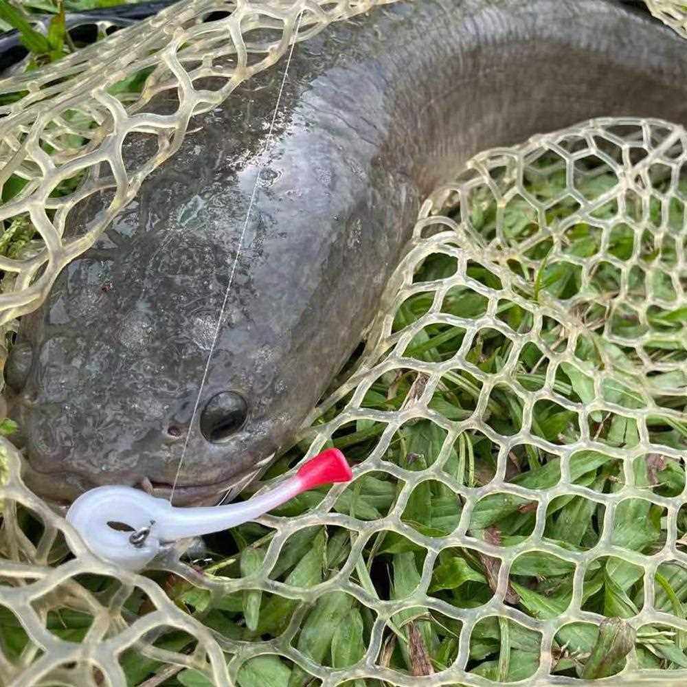 新款直销TPR 浮水软饵 T尾路亚饵 6条/包软虫 淡水海钓假饵 7厘米,淘宝优惠券,粉丝福利购,淘宝优惠卷