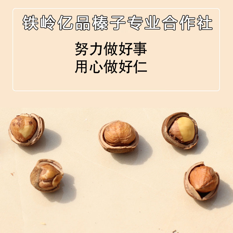 木乃壳食品 23新货东北小榛子铁岭山榛子野山臻子大颗粒坚果500g-图2