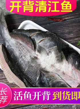 分装瓶收纳罐清江鱼1000斑点叉尾鮰鱼鲜开背商用烤鱼青江鱼腌制新