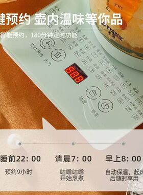 空盒子生壶多功能电热水壶烧水花茶壶办公室煎药壶玻璃煮花茶外贸
