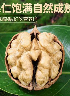 分装瓶收纳罐新货云南薄皮生核桃薄皮核桃价带壳原味散装坚果零食