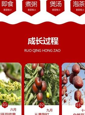分装瓶收纳罐新疆无核红枣大枣灰枣大红枣干货泡水茶去核若羌枣红