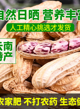 分装瓶收纳罐农科院云南黑花生新货带壳生的炒熟普洱特产富黑皮硒