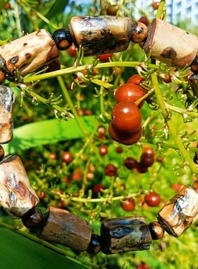 天然海柳赤柳可变色柳随形手链男女款海底奇木手串痔疮克星