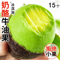 Butter fruit Big fruit fresh fruit Yunnan Haas should be cooked through the whole box cooked ready-to-eat first-class avocado 15