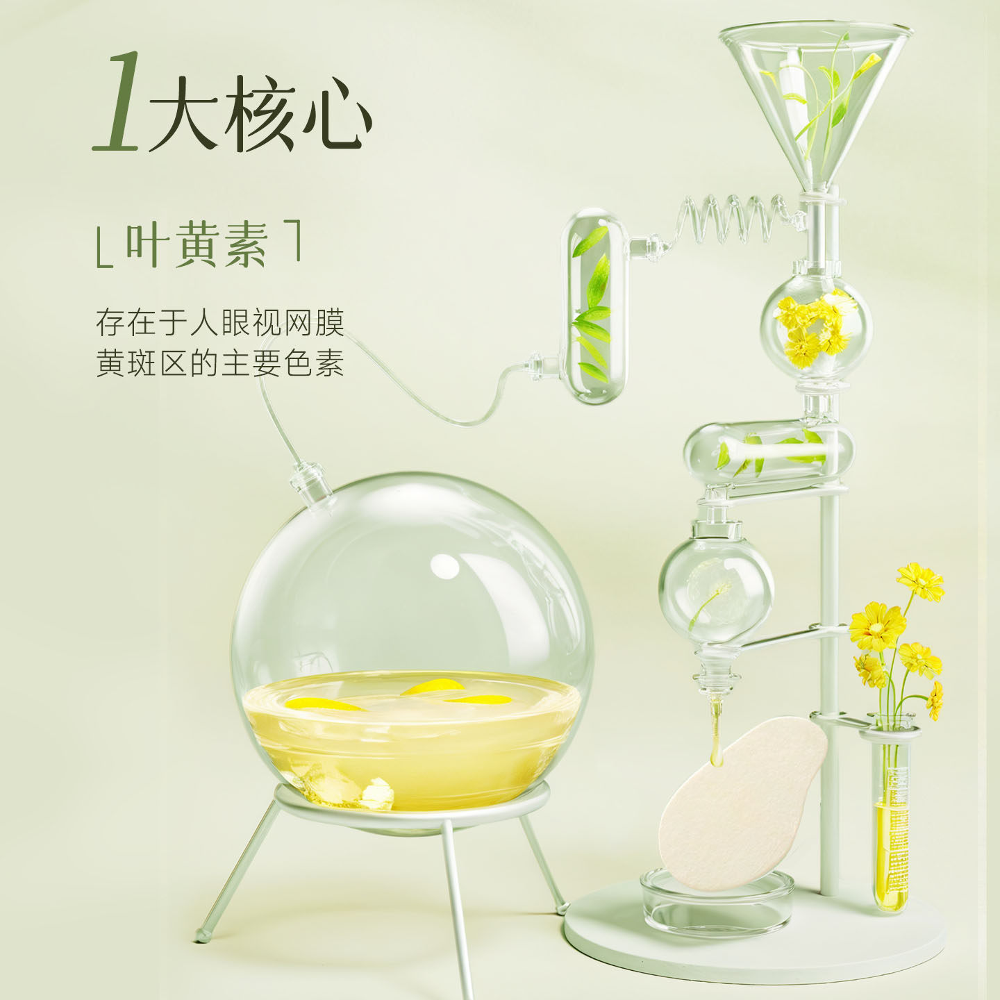 护眼贴叶黄素滋润冷敷明贴缓解润目贴疲劳冰敷老年人眼草本润眼贴,淘宝优惠券,粉丝福利购,淘宝优惠卷