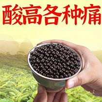 Burdock root honeysuckle fiery linen white Brassica Gardenia Cassiae medicated food homologous mulberry leaf